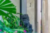 2/2 - 12 Reef Street, Port Douglas, Qld 4877-Image