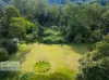 2/269 Upper Tuntable Falls Road, Nimbin, NSW 2480-Image