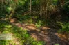 2/269 Upper Tuntable Falls Road, Nimbin, NSW 2480-Image