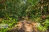 2/269 Upper Tuntable Falls Road, Nimbin, NSW 2480-Image