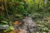 2/269 Upper Tuntable Falls Road, Nimbin, NSW 2480-Image