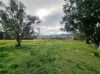 2/43 Mount Horeb Road, Mount Horeb, NSW 2729-Image