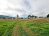 2/43 Mount Horeb Road, Mount Horeb, NSW 2729-Image