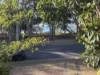 2/481 Esplanade, Torquay, Qld 4655-Image