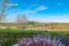 2/5 Dryden Close, Nowra, NSW 2541-Image