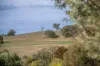 2/5 Elder Street, Nairne, SA 5252-Image