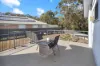 2/55 Queen Street, Muswellbrook, NSW 2333-Image