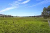 2/66 Whatmans Lane, Tumut, NSW 2720-Image