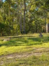 2/927 Gilston road, Gilston, Qld 4211-Image