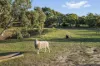 2 Aldridge Road, Yankalilla, SA 5203-Image