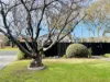 2 Alexander Avenue, Mornington, Vic 3931-Image