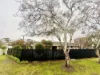 2 Alexander Avenue, Mornington, Vic 3931-Image