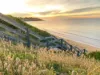 2 Alexander Avenue, Mornington, Vic 3931-Image