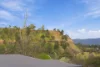 2 Allan Street, Derby, Tas 7264-Image