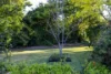 2 Amber Place, Bomaderry NSW 2541-Image