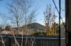 2 Badgery Street, Braidwood, NSW 2622-Image