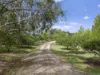 2 Bromfield Drive, Tolmie, Vic 3723-Image