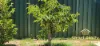 2 Brookdale Drive, Armadale, WA 6112-Image