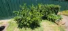 2 Brookdale Drive, Armadale, WA 6112-Image