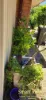 2 Brookdale Drive, Armadale, WA 6112-Image