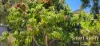 2 Brookdale Drive, Armadale, WA 6112-Image