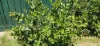 2 Brookdale Drive, Armadale, WA 6112-Image