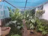 2 Brownhill Street, Mundingburra, Qld 4812-Image
