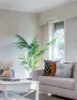 2 Bunker Crescent, Glen Waverley, Vic 3150-Image