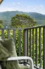 2 Camelia Terrace, Woonona, NSW 2517-Image