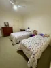 2 Camp Street, Coonabarabran, NSW 2357-Image