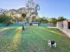 2 Camp Street, Coonabarabran, NSW 2357-Image