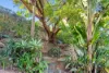 2 Capano Court, Elanora, Qld 4221-Image