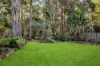 2 Carr Street, Chatswood, NSW 2067-Image
