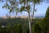 2 Chesterfield Drive, Bonogin, Qld 4213
