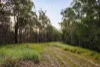 2 Chesterfield Drive, Bonogin, Qld 4213-Image