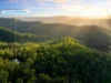 2 Chesterfield Drive, Bonogin, Qld 4213-Image