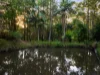 2 Chesterfield Drive, Bonogin, Qld 4213-Image