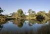 2 Clearing Court, Mandurang, Vic 3551-Image