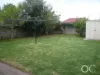 2 Clovelly Avenue, Glenelg North, SA 5045-Image