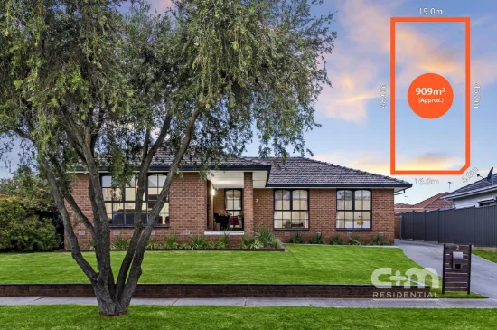 2 Clyde Court, Oak Park, Vic 3046