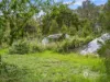 2 Cooks Road, Fish Creek, Vic 3959-Image