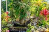2 Coolibah Court, Mooloolah Valley, Qld 4553-Image