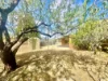 2 Cornish Avenue, Belmont, Vic 3216-Image