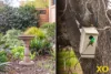 2 Cranston Avenue, Singleton, NSW 2330-Image
