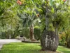 2 Crusher Park Drive, Nambour, Qld 4560-Image