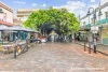 2 Daffodil Street, Eastwood, NSW 2122-Image