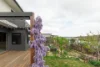 2 Dainere Street, Denman Prospect, ACT 2611-Image