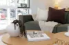2 Dalgarno Close, Oxley, ACT 2903-Image