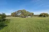2 Dempster Street, Beverley, WA 6304-Image