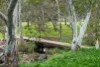 2 Dinham Road, Athelstone, SA 5076-Image